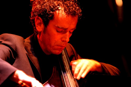 Daniele Roccato Contrabbasso Double Bass